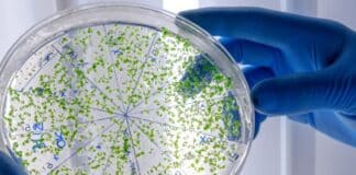 bioinformática agua Venezuela