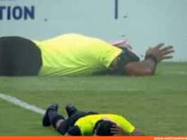 Enjambre abejas paraliza Supercopa de la India