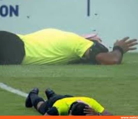 Enjambre abejas paraliza Supercopa de la India