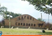 El Safari de Carabobo