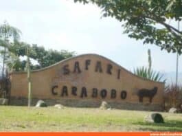 El Safari de Carabobo