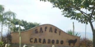 El Safari de Carabobo