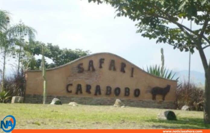 El Safari de Carabobo
