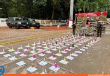 detenida cocaína oculta perfumería