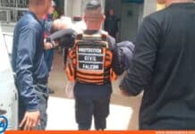 enjambre de abejas atacó personas Falcón