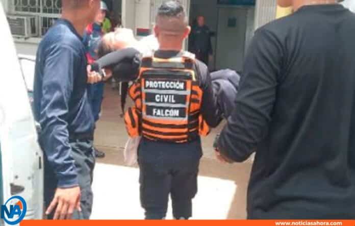 enjambre de abejas atacó personas Falcón enjambre de abejas atacó personas Falcón