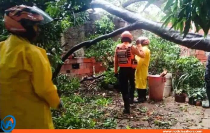 lluvias Anzoátegui lluvias Anzoátegui
