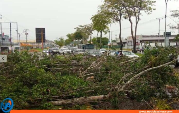 lluvias Maturín lluvias Maturín