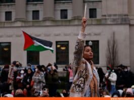 manifestantes pro-Palestina Nueva York