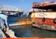 pesca industrial Sucre Anzoátegui