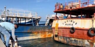 pesca industrial Sucre Anzoátegui