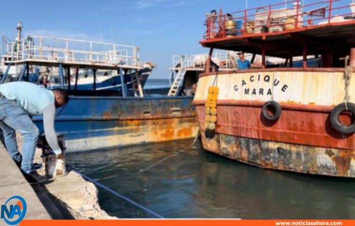 pesca industrial Sucre Anzoátegui