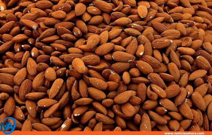 Almendras salud integral Almendras salud integral