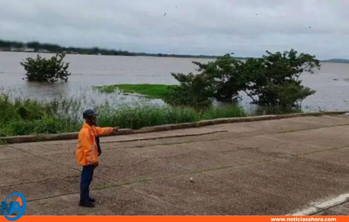 Amazonas aumento río Orinoco Amazonas aumento río Orinoco