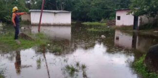 Amazonas río Orinoco
