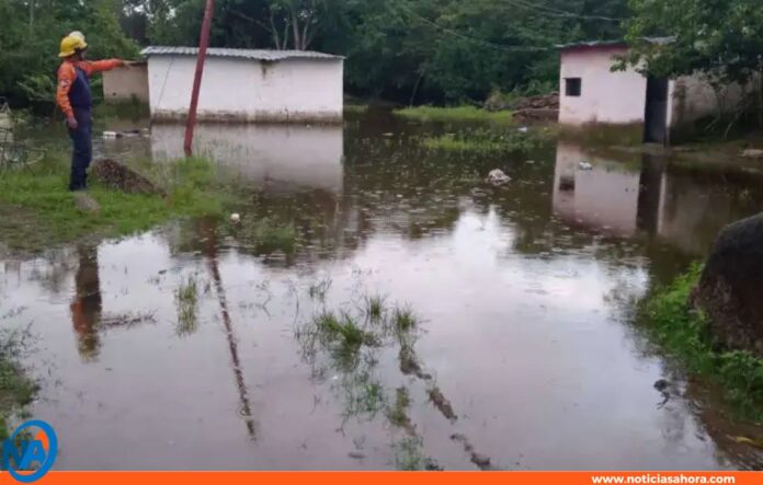 Amazonas río Orinoco Amazonas río Orinoco
