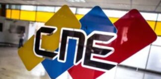 CNE elecciones de alcaldes