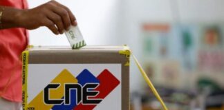 CNE elecciones municipales