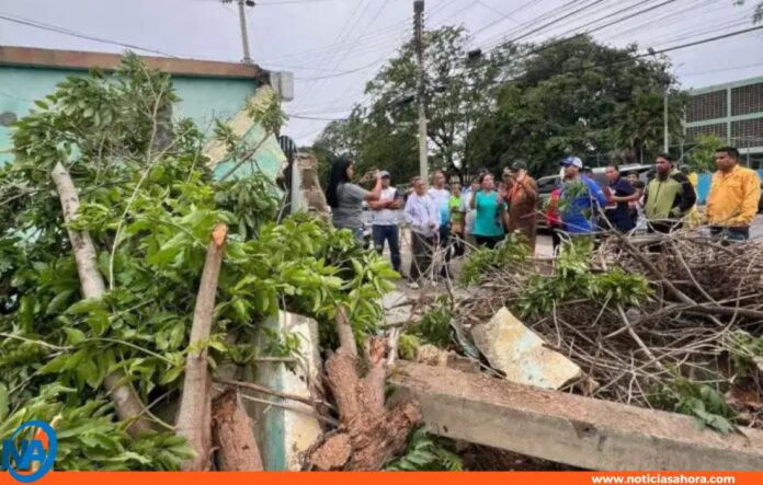 Cumaná lluvias Cumaná lluvias