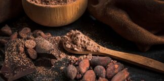 Venezuela producción cacaotera