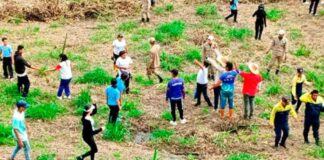 Yaracuy lucha contra desertificación