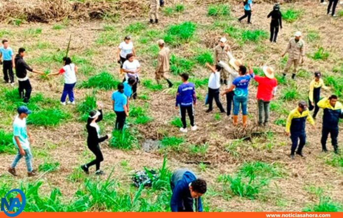 Yaracuy lucha contra desertificación