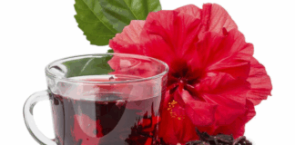 Flor de Jamaica