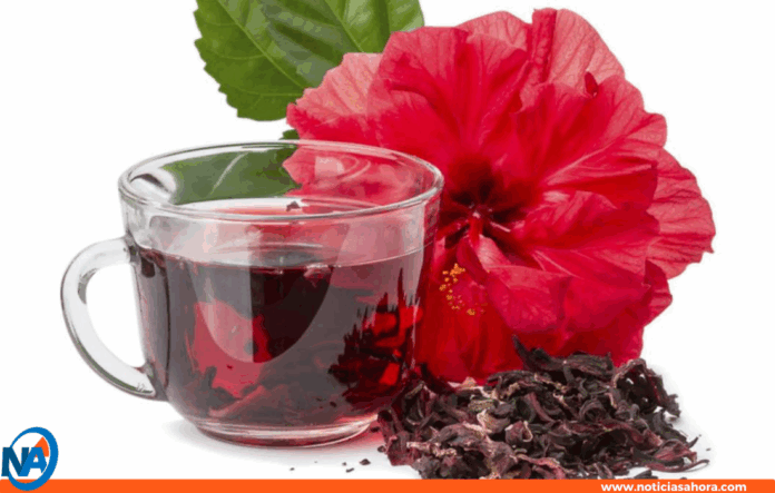 Flor de Jamaica