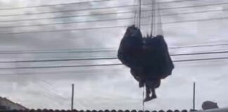 Paracaidista cayó tendido eléctrico valle de la pascua
