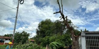 vientos Monagas