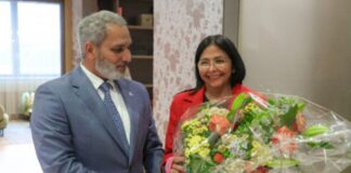 Delcy Rodríguez Viena OPEP
