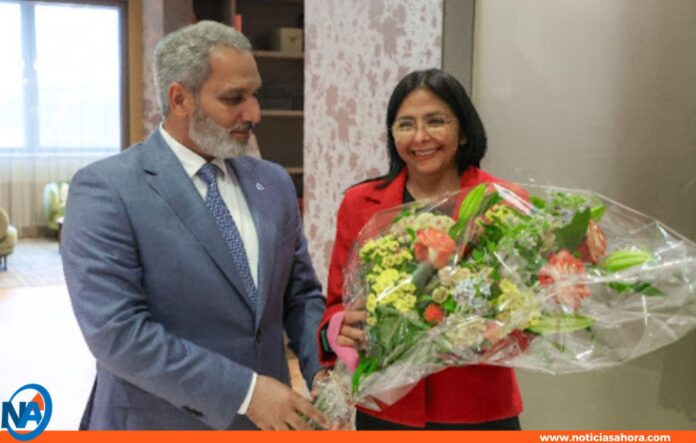 Delcy Rodríguez Viena OPEP