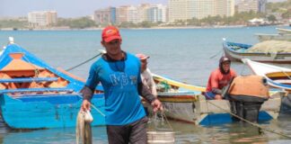 Nueva Esparta temporada de pesca de pulpo
