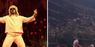 PETA denuncia Bad Bunny