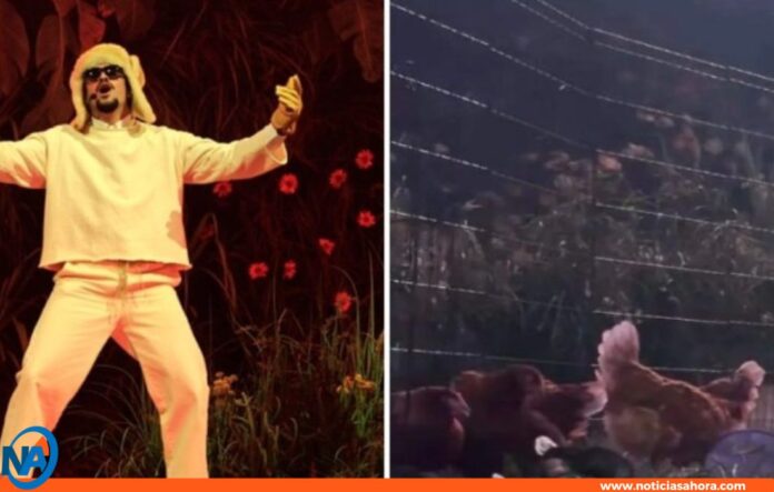 PETA denuncia Bad Bunny PETA denuncia Bad Bunny