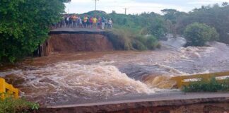 Puente La Muerta Apure