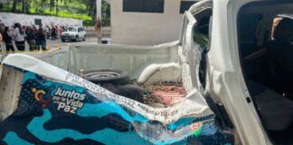 árbol camioneta policial