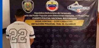 Fiscalía imputará conductor muerte de inspector PNB
