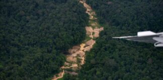 Aeronave con indígenas Yanomamis