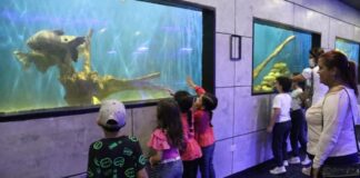 ZooAquarium Valencia celebrará Día del Niño