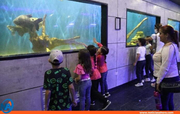 ZooAquarium Valencia celebrará Día del Niño