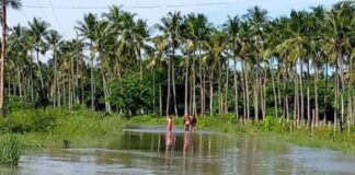 Desborde río Aroa más 80 viviendas en Falcón