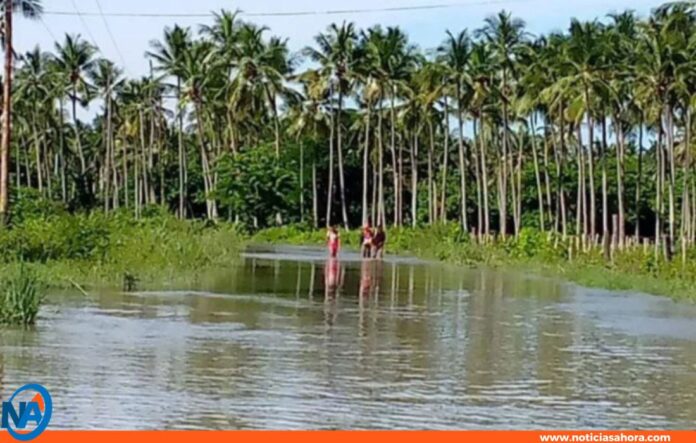 Desborde río Aroa más 80 viviendas en Falcón Desborde río Aroa más 80 viviendas en Falcón