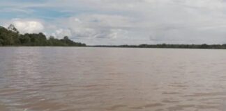Río Orinoco en alerta