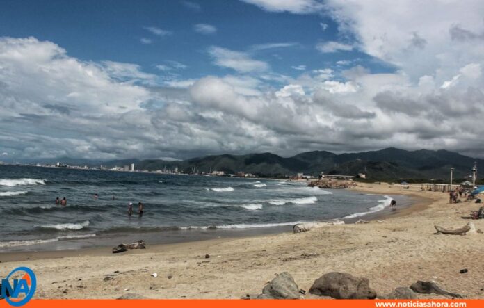 Puerto Cabello siembra de manglares