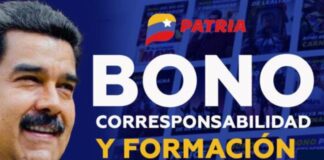 Bono Corresponsabilidad para docentes activos
