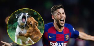 exjugador Barcelona hospitalizado mordedura perro