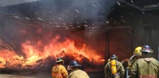 incendio planta caucho Aragua