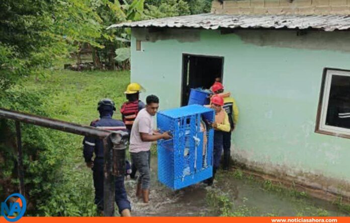 lluvias Amazonas lluvias Amazonas