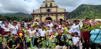 Carabobo árboles río Mariara